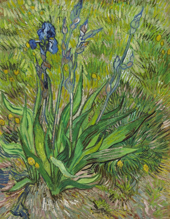 Iris von Vincent van Gogh