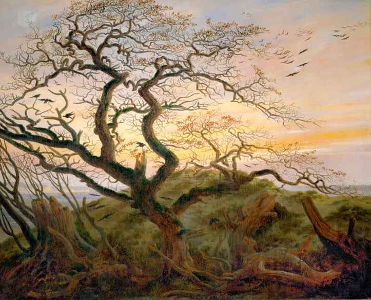 „Baum mit Raben“ von Caspar David Friedrich – knorriger Baum mit Raben in einer stillen romantischen Landschaft.