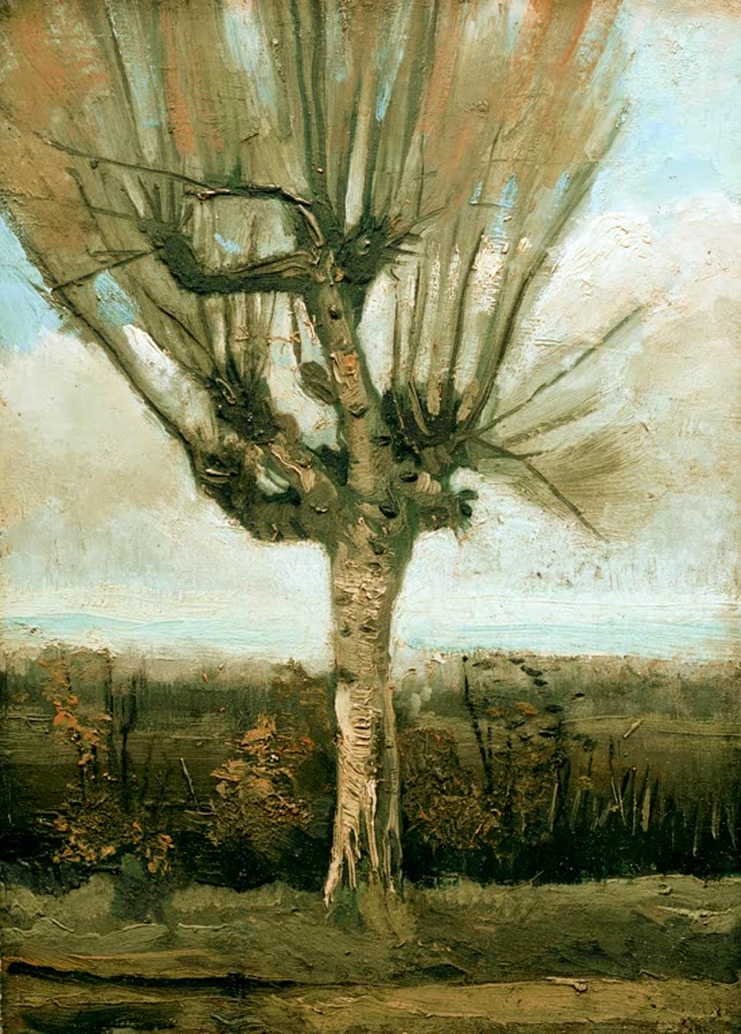 Kopfweide von Vincent van Gogh – impressionistische Landschaft mit einer alten Weide auf dem Land, als hochwertiger Kunstdruck, Poster oder Leinwand erhältlich.