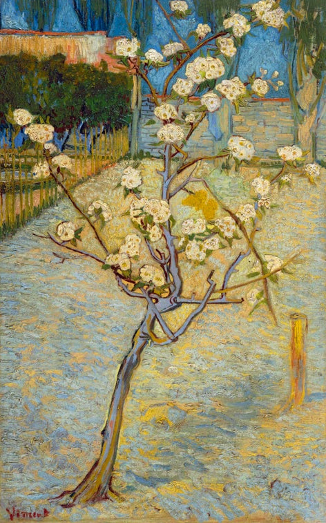 Birnenbaum in Blüte | Vincent van Gogh