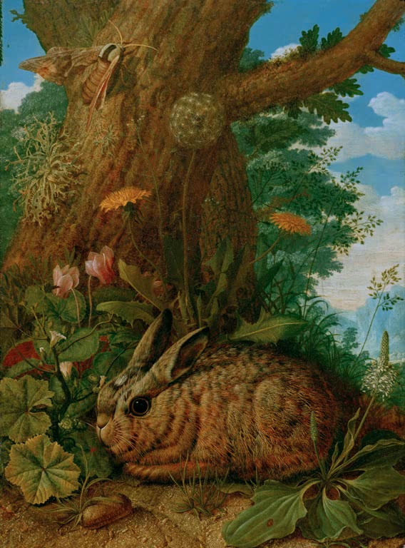 Ruhender Hase - Johann Adalbert Angermeyer als Kunstdruck kaufen