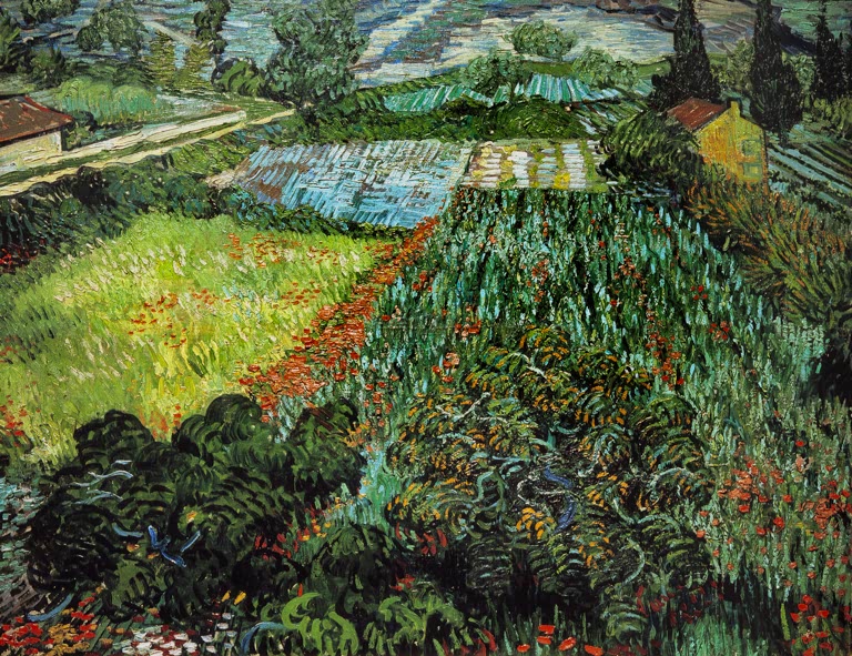 Mohnfeld von Vincent van Gogh