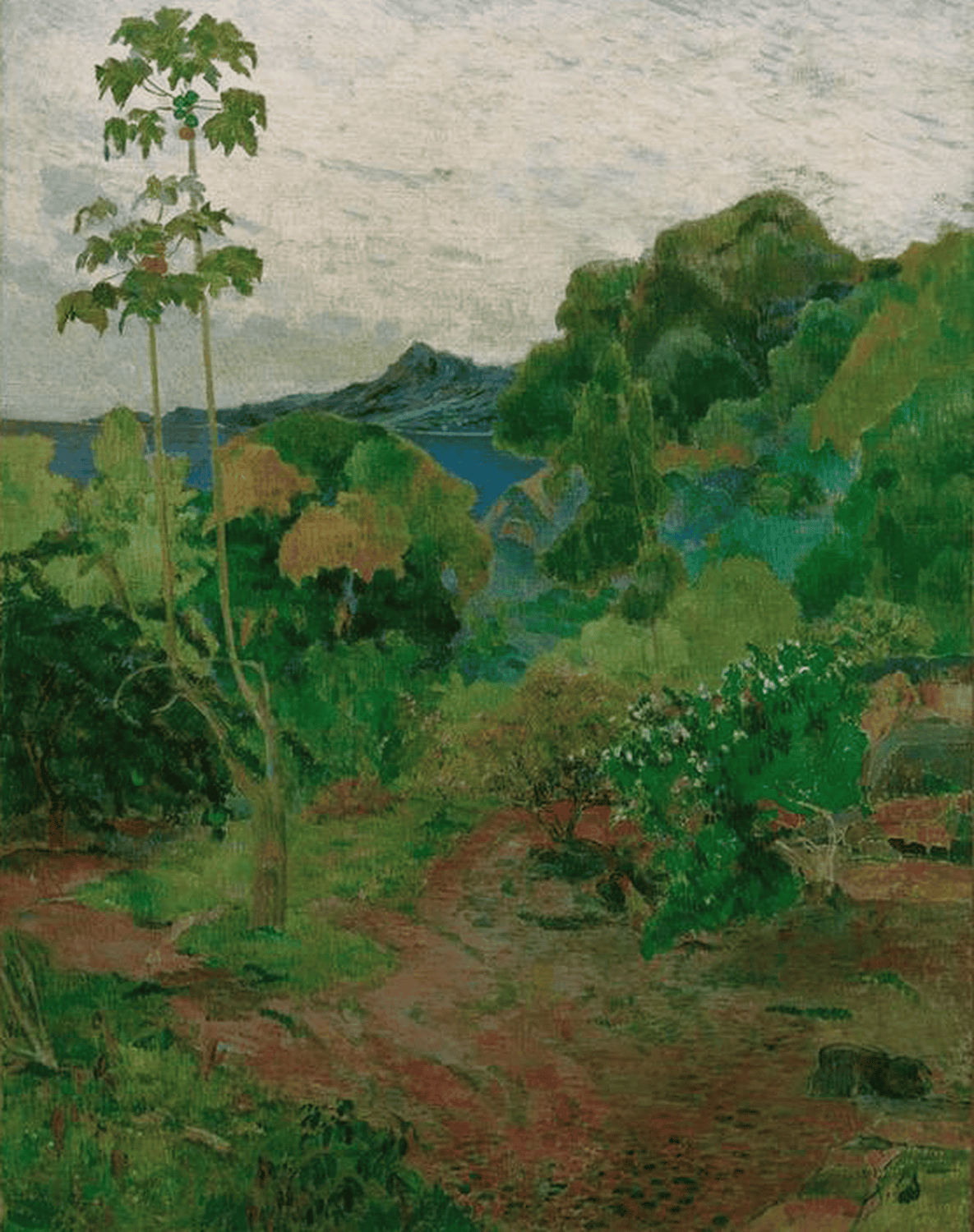 Landschaft auf Martinique | Paul Gauguin