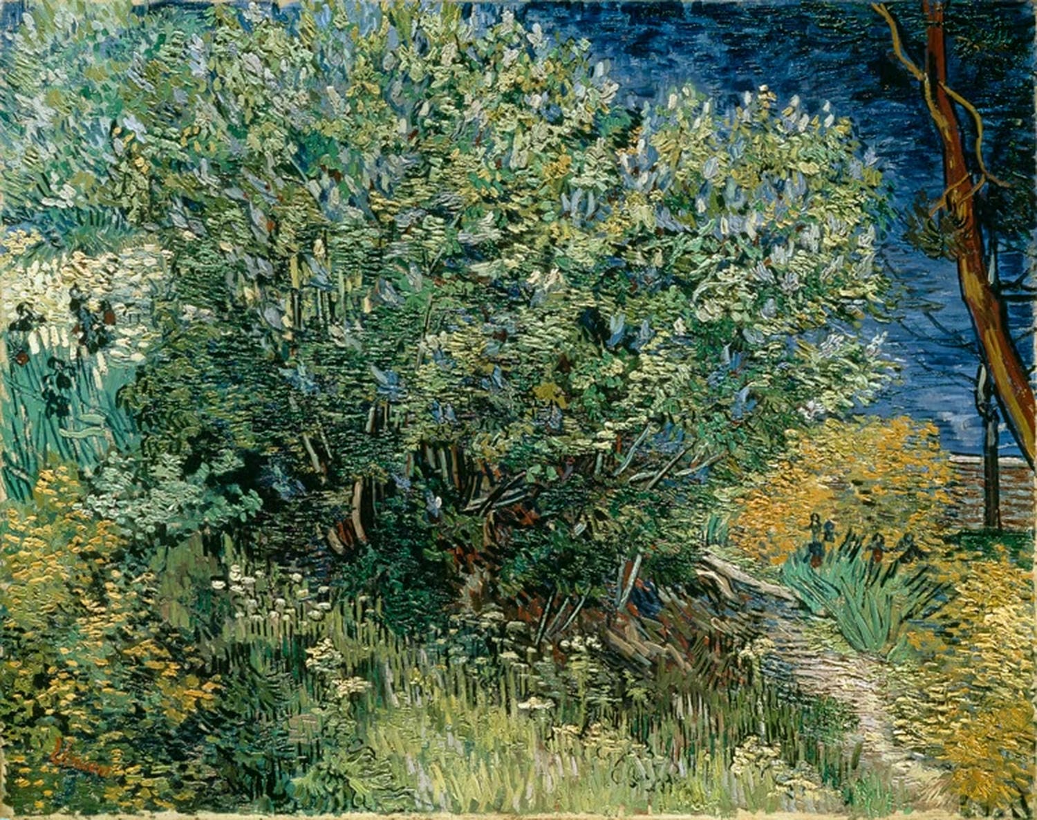 Flieder | Vincent Van Gogh