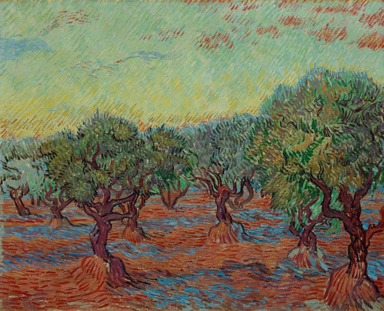 Van Gogh, Olivenhain