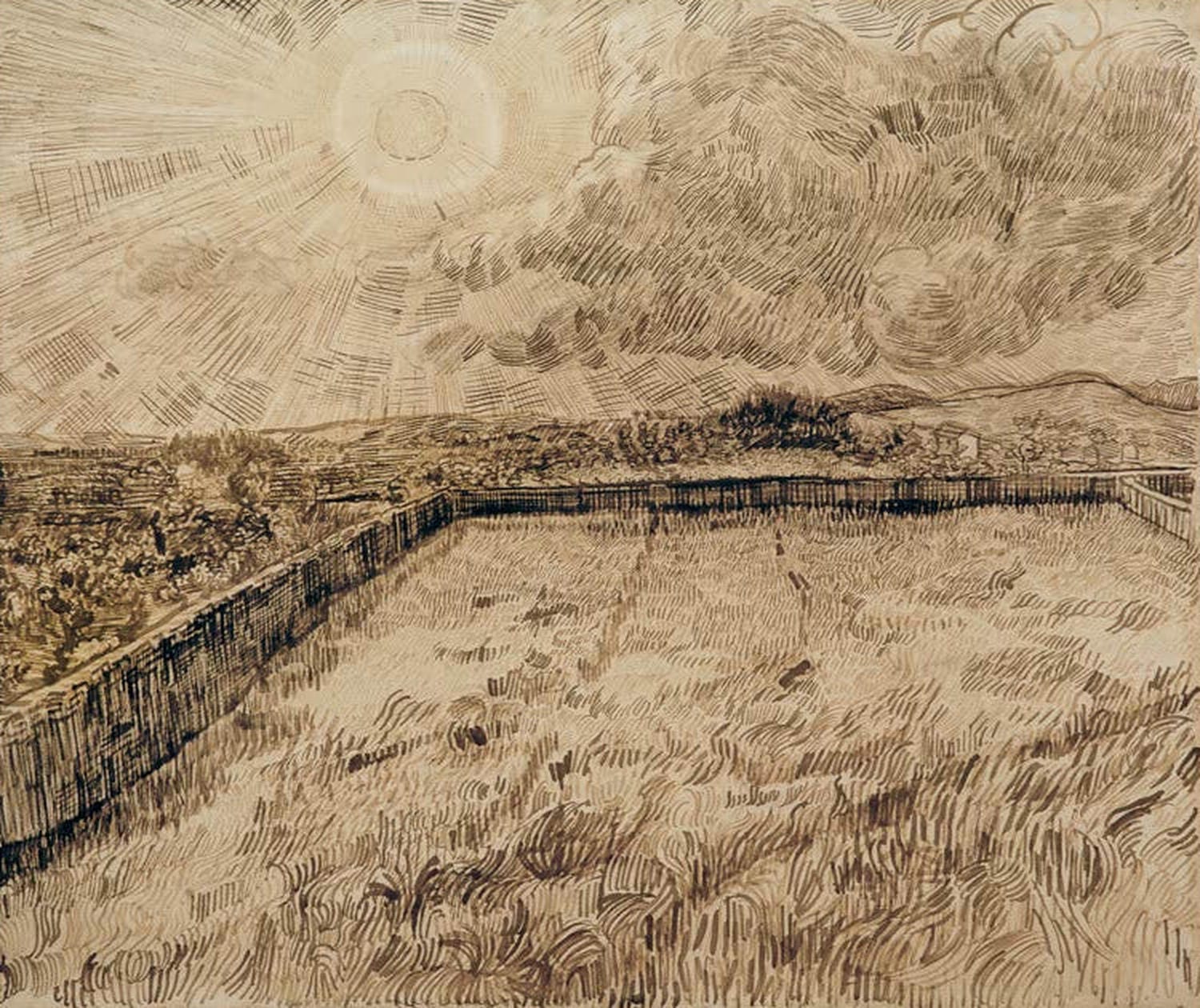 Kunstdruck des Gemäldes „Felder und Ölbäume“ von Vincent van Gogh mit sonnigen Feldern und charakteristischen Ölbäumen, lebendig in Farbe und Pinselstrich.