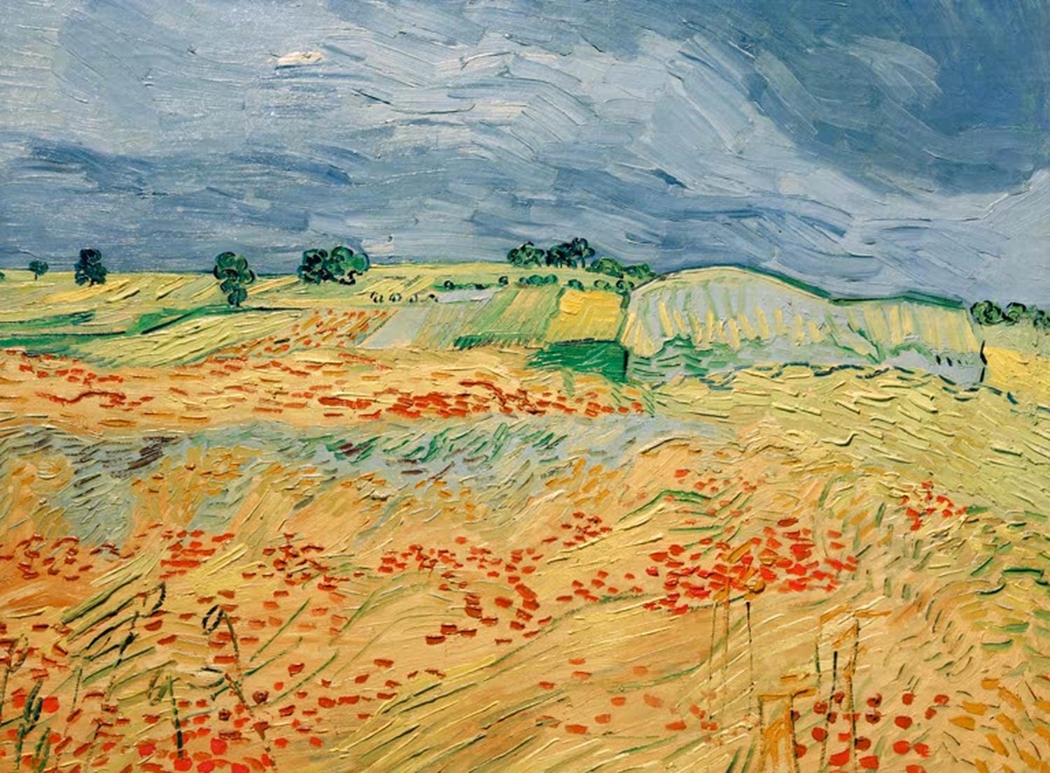 Kunstdruck „Felder mit blühendem Mohn“ von Vincent van Gogh mit leuchtend roten Mohnblumen, weitem Himmel und lebendigem Pinselstrich.