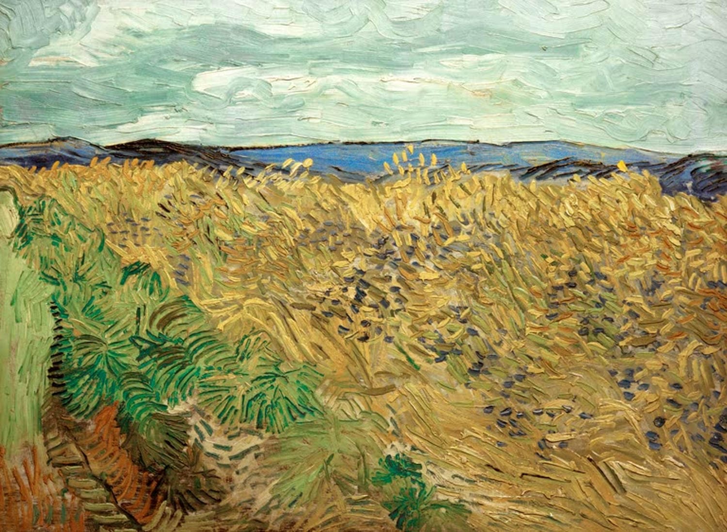 „Feld mit Kornblumen“ von Vincent van Gogh – lebendige postimpressionistische Landschaft mit blühenden Kornblumen, dynamischem Himmel und expressiven Pinselstrichen.