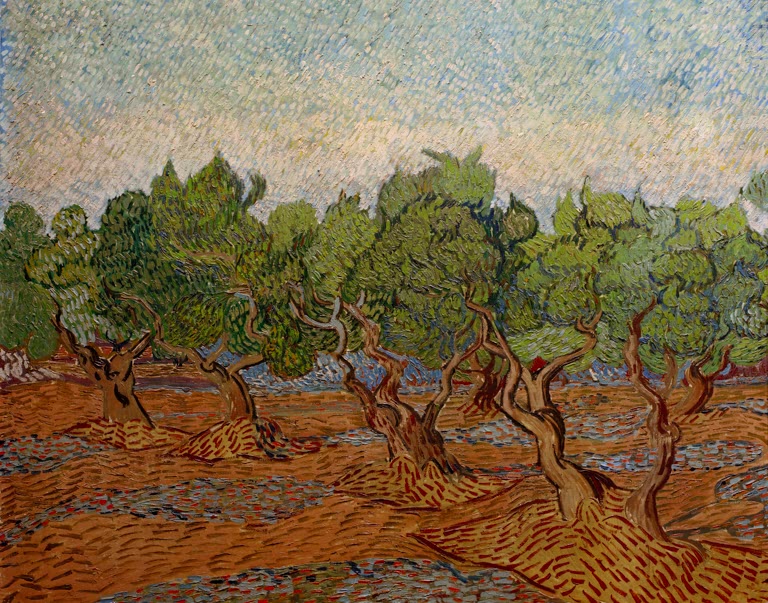 „Olivenhain“ von Vincent van Gogh – expressive Landschaft mit knorrigen Olivenbäumen in leuchtenden Blau-, Grün- und Gelbtönen.