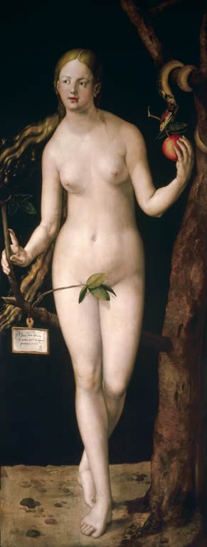 Eva | Albrecht Dürer
