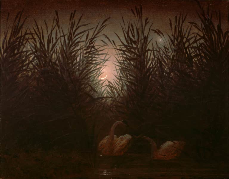 „Schwäne im Schilf“ von Caspar David Friedrich – romantische Landschaft mit Schwänen zwischen Schilf am ruhigen Wasser.