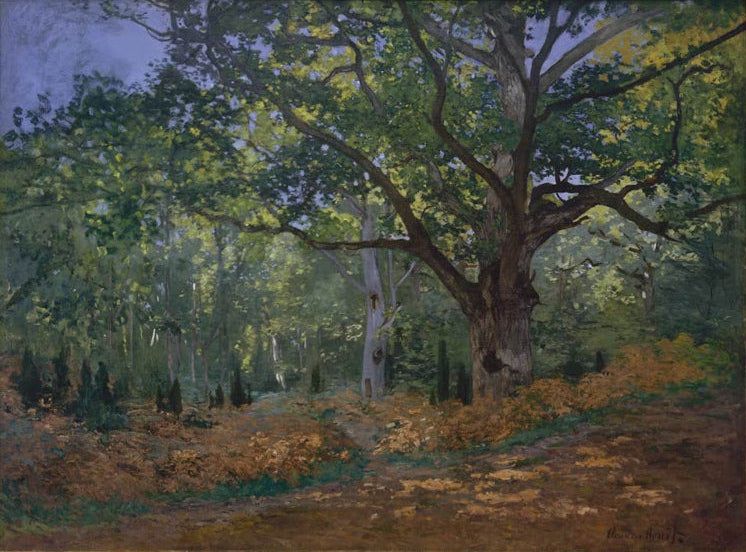 Die Bodmer-Eiche von Bas-Bréau | Claude Monet