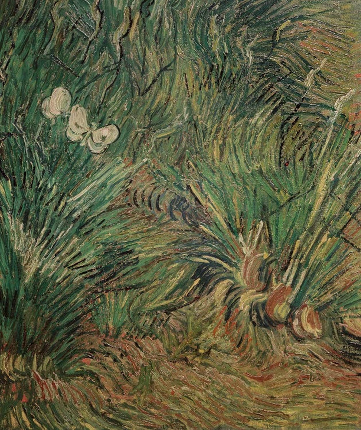 Zwei weiße Schmetterlinge | Vincent Van Gogh