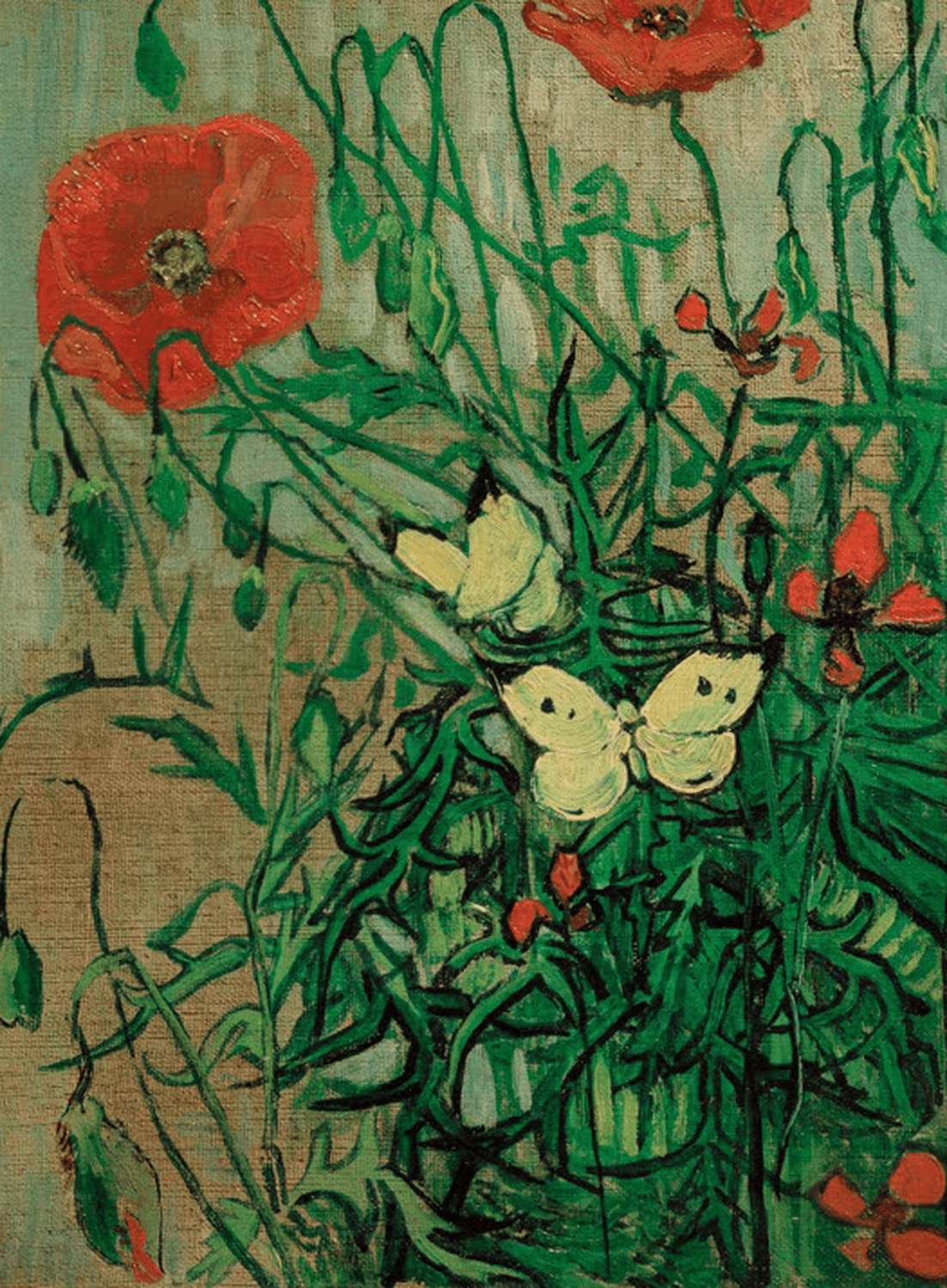 Schmetterlinge auf Mohnblüten - Vincent van Gogh