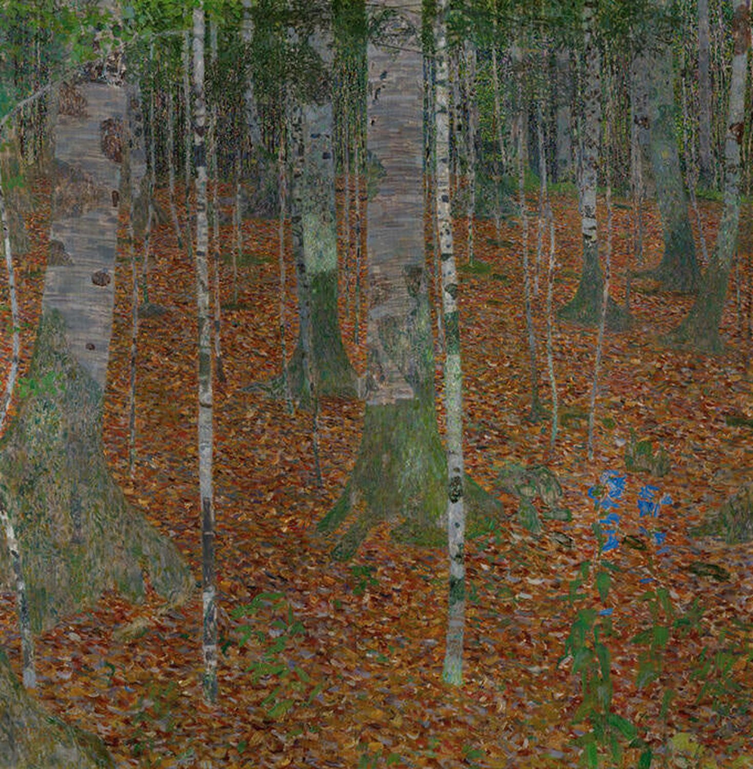 „Birkenwald“ von Gustav Klimt – Eine detailreiche Darstellung eines Waldes, der die sanften Lichtverhältnisse und goldenen Farbtöne von Klimts einzigartigem Stil widerspiegelt.