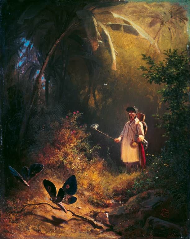 Der Schmetterlingsfänger | Carl Spitzweg