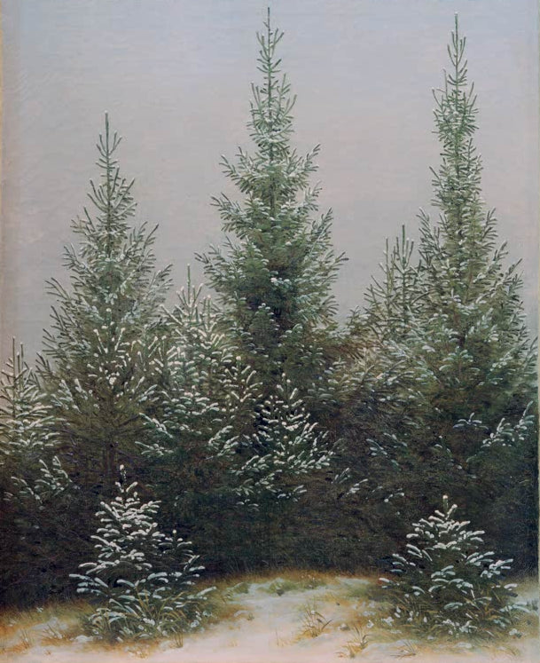 „Fichtendickicht im Schnee“ von Caspar David Friedrich – dicht stehende Fichten in einer verschneiten romantischen Winterlandschaft.
