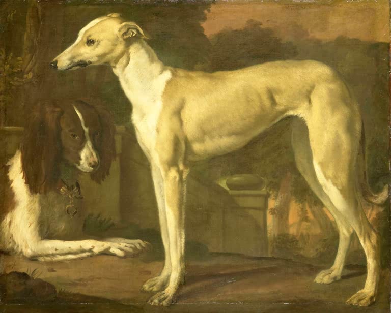 Ein Windhund und ein Spaniel | Jan Weenix