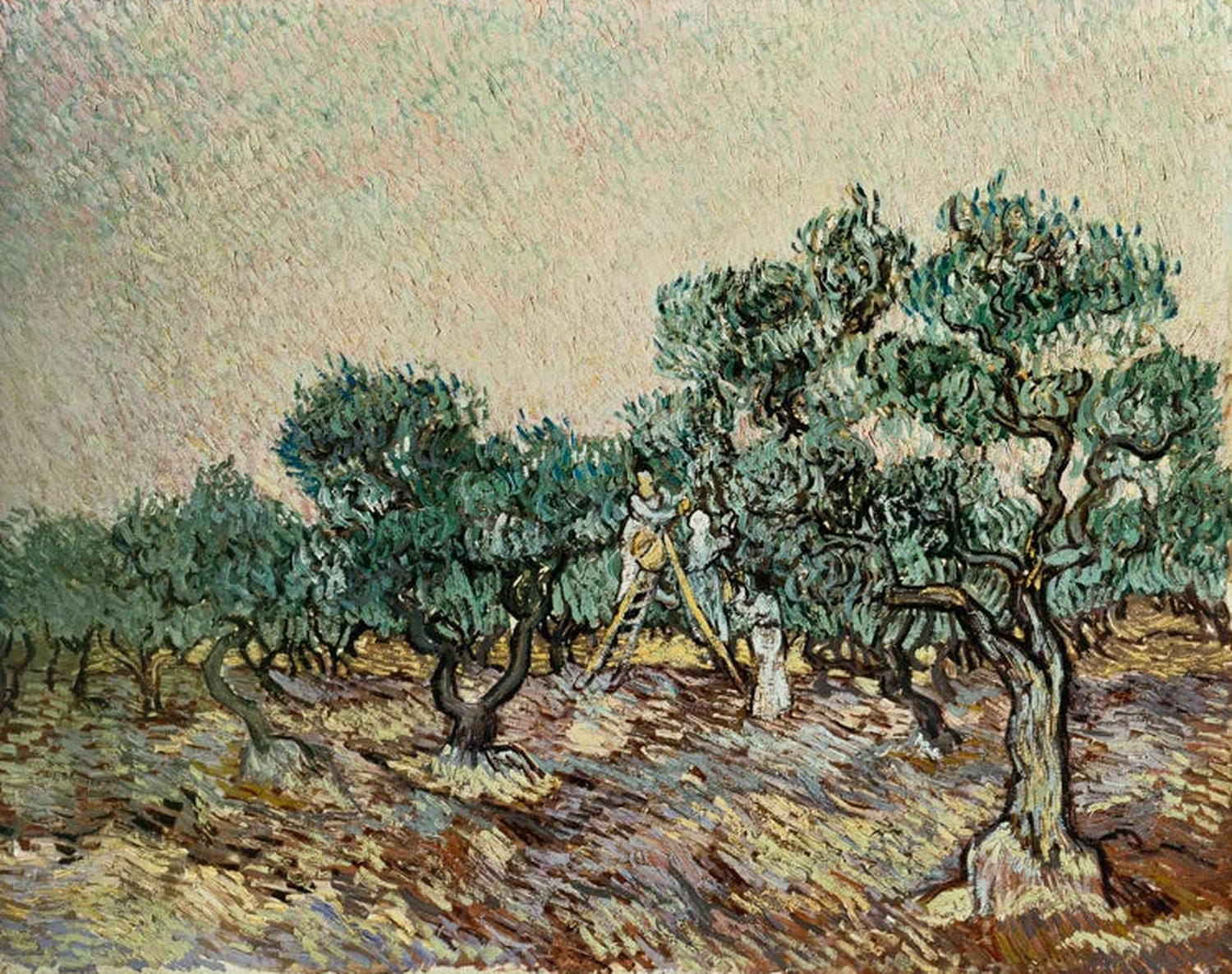 Kunstdruck des Gemäldes „Olivenpflücker“ von Vincent van Gogh mit Bauern beim Ernten von Oliven in lebendigen Farben und dynamischen Pinselstrichen.