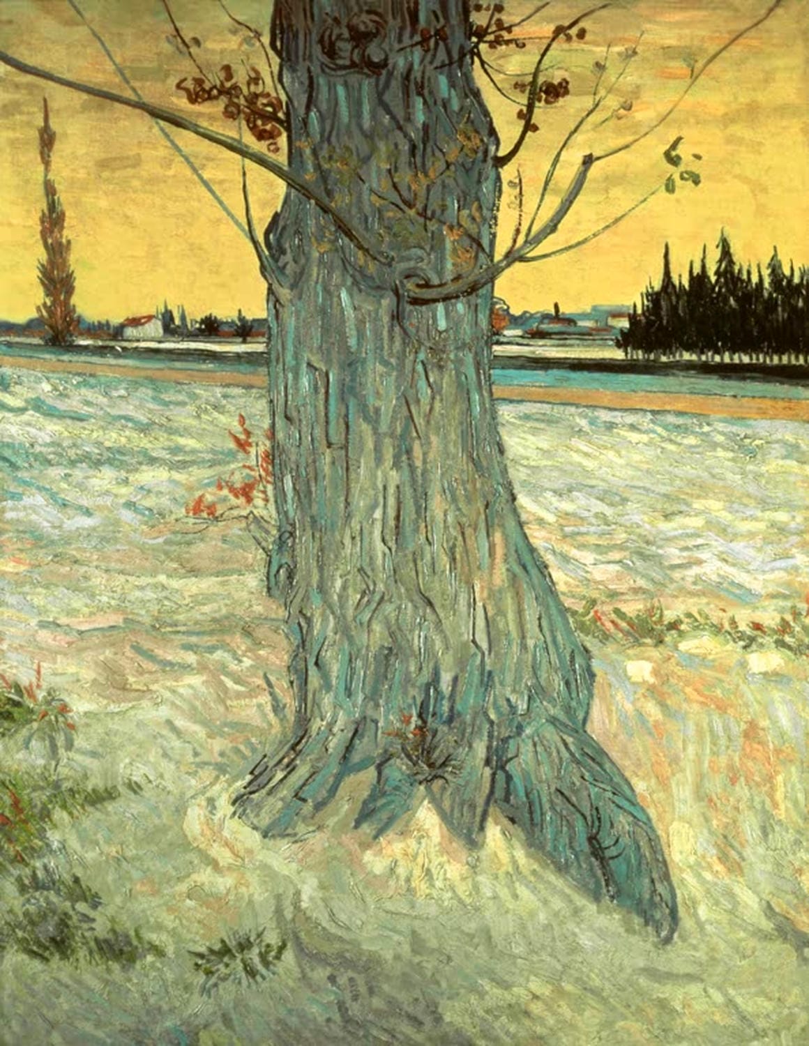 Kunstdruck „Der Baum“ von Vincent van Gogh mit kraftvollem Pinselstrich, lebendigen Farben und ausdrucksstarker Naturdarstellung.