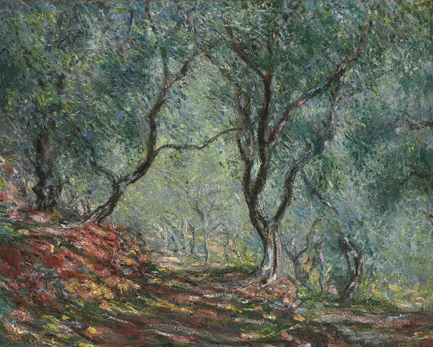 Olivenhain im Garten Moreno | Claude Monet