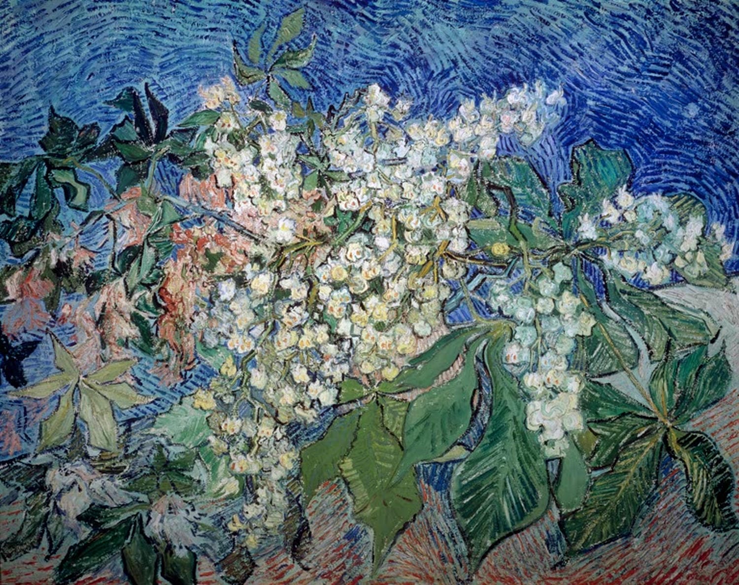 Kunstdruck „Blühende Kastanienzweige“ von Vincent van Gogh mit zarten weißen Blüten, sattem Grün und lebendigem, strukturiertem Pinselstrich.
