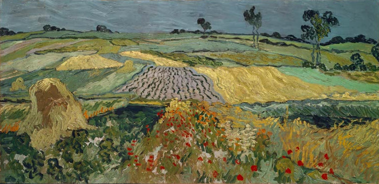 Die Ebene von Auvers von Vincent van Gogh