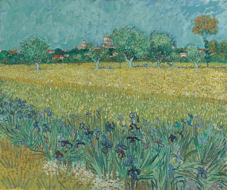Blick auf Arles mit Irisblüten von Vincent van Gogh