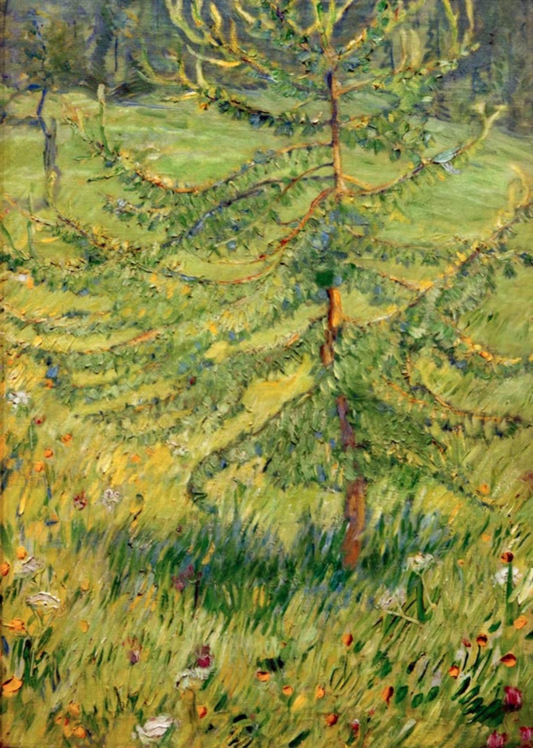 Kunstdruck „Lärchenbäumchen“ von Franz Marc – expressionistische Landschaft mit Lärchen als hochwertiger Kunstdruck, auf Leinwand oder Poster, optional gerahmt, handgefertigt in Deutschland.