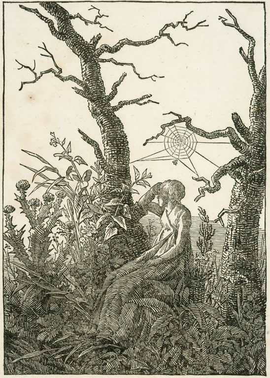 „Die Frau mit dem Spinnennetz zwischen kahlen Bäumen“ von Caspar David Friedrich – Frau zwischen kahlen Bäumen mit einem feinen Spinnennetz.