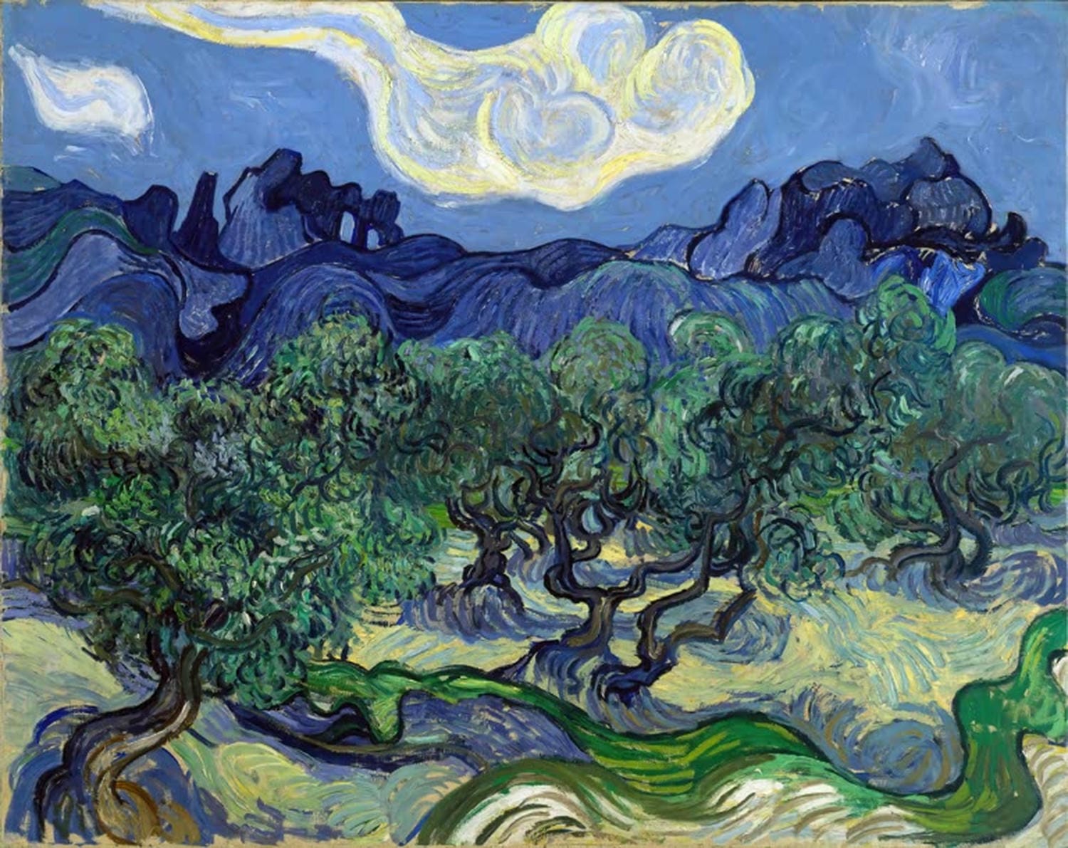 Olivenbäume von Vincent van Gogh