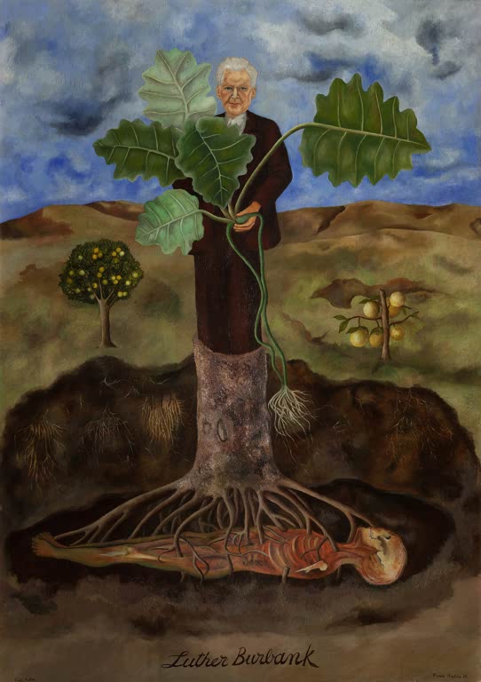 Porträt Luther Burbank von Frida Kahlo als Kunstdruck