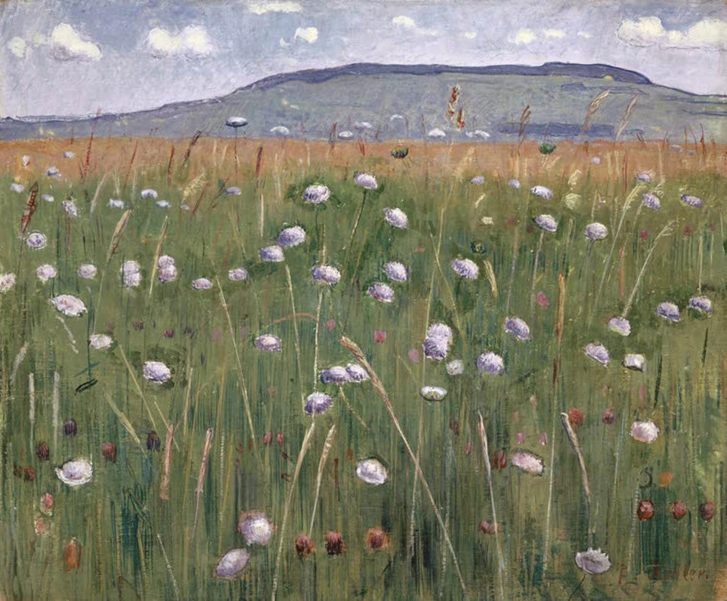 Wiesenstück | Ferdinand Hodler
