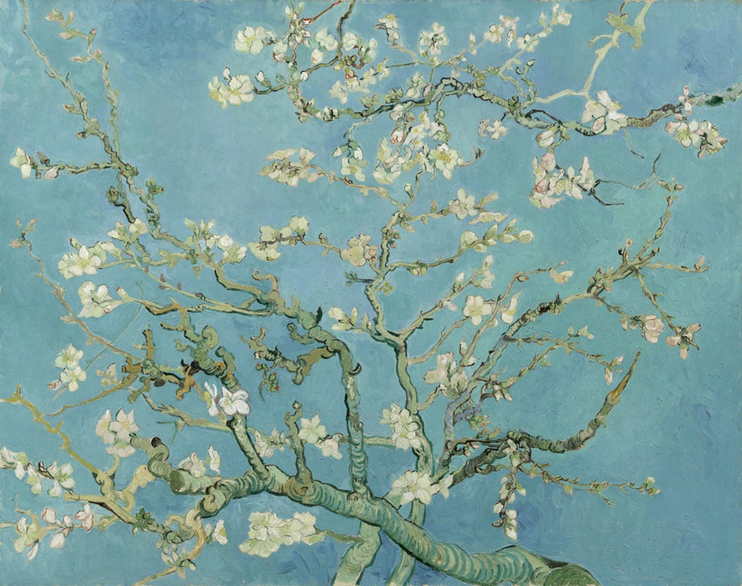 Das Gemälde "Mandelblüte" von Vincent van Gogh zeigt einen blühenden Mandelbaumzweig vor einem klaren, azurblauen Himmel. Die zarten, weiß-rosa Blüten kontrastieren harmonisch mit dem intensiven Blau des Hintergrunds. Die Komposition strahlt Ruhe und Hoffnung aus und reflektiert van Goghs Faszination für die Schönheit der Natur.