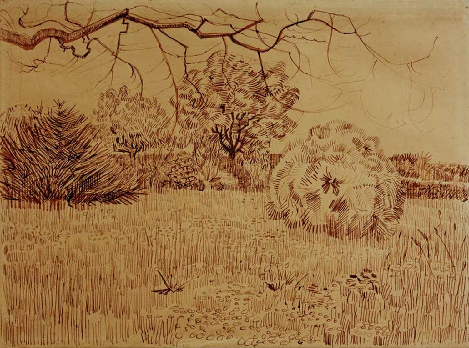 „Park mit Strauch“ von Vincent van Gogh: parkähnliche Landschaft mit Sträuchern und Bäumen, in lebendigen Farben und dynamischen Pinselstrichen dargestellt.