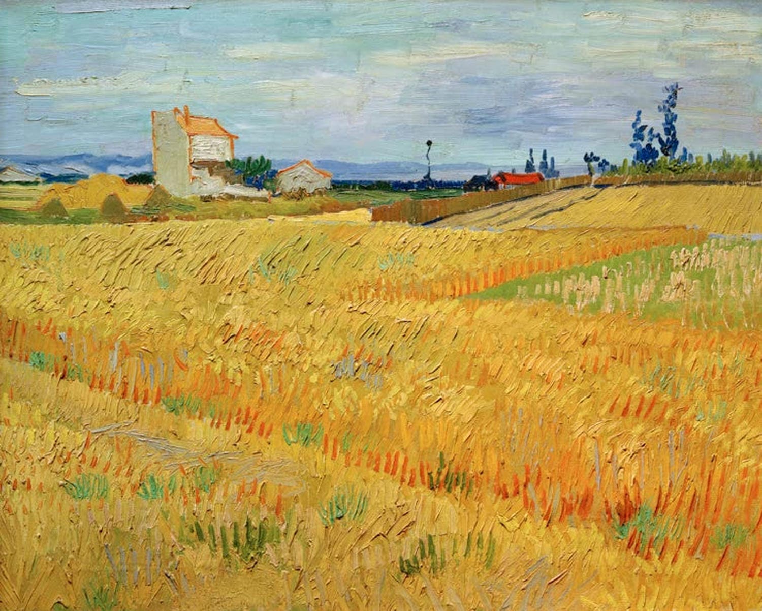 Weizenfeld | Vincent van Gogh