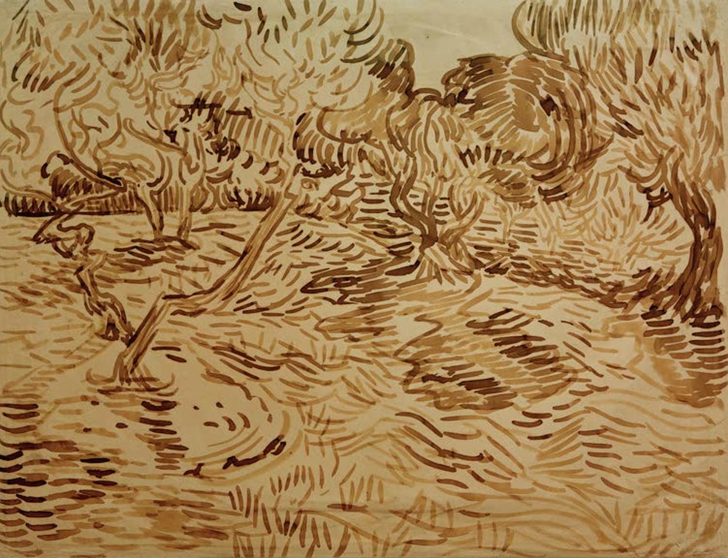 „Olivenhain“ von Vincent Van Gogh zeigt knorrige Olivenbäume mit dynamischem Pinselstrich.