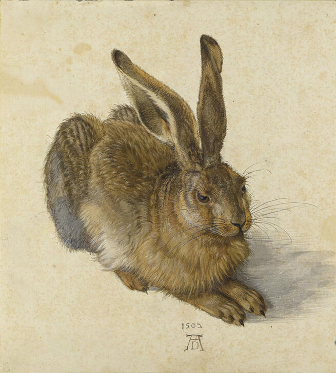Kunstdruck „Feldhase“ von Albrecht Dürer – naturgetreue Tierdarstellung der Renaissance in brillanter Reproduktion für Ihr Zuhause. Kunst mit historischer Tiefe und Präzision.