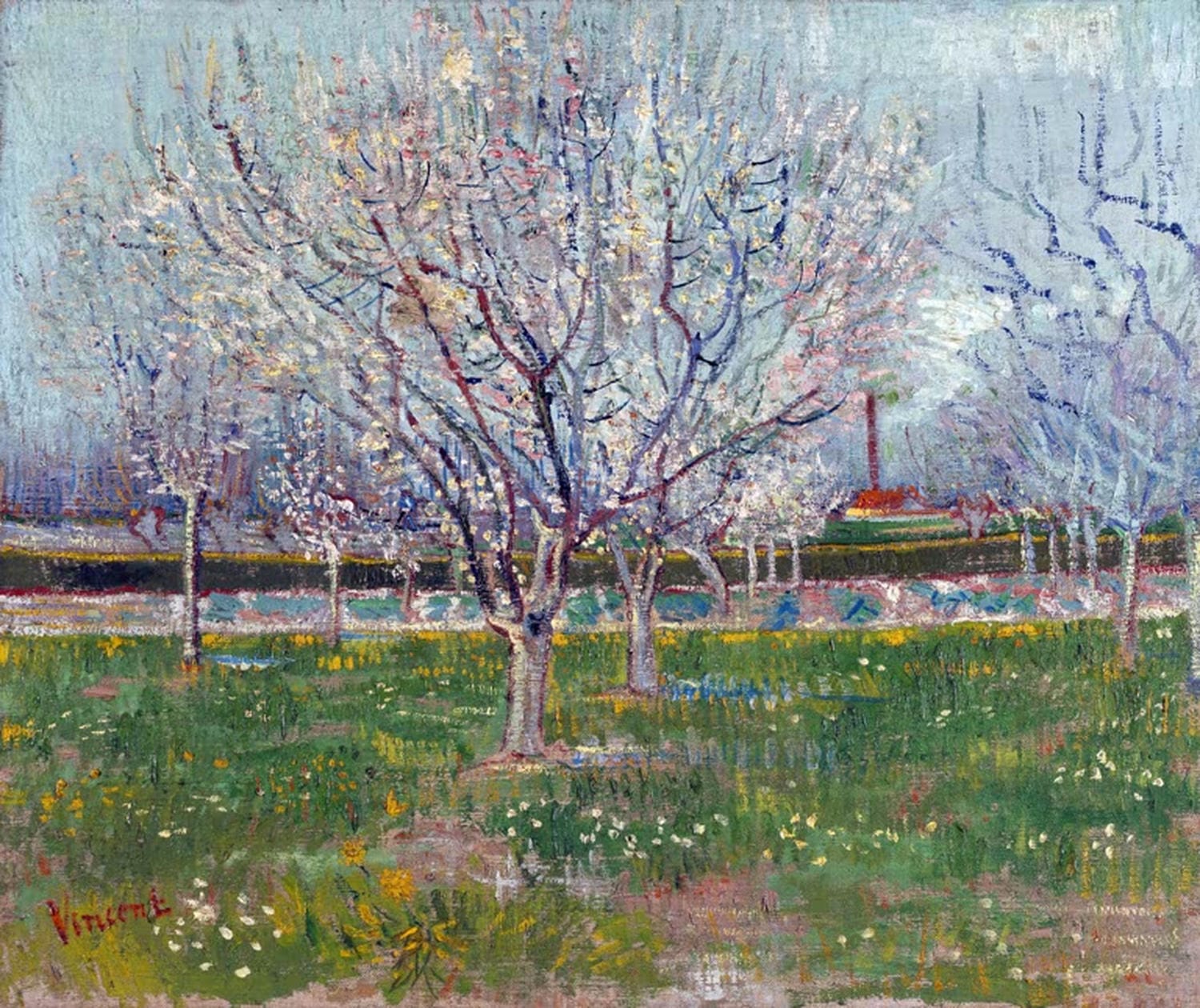 Blühender Obstgarten (Pflaumenbäume) von Vincent van Gogh