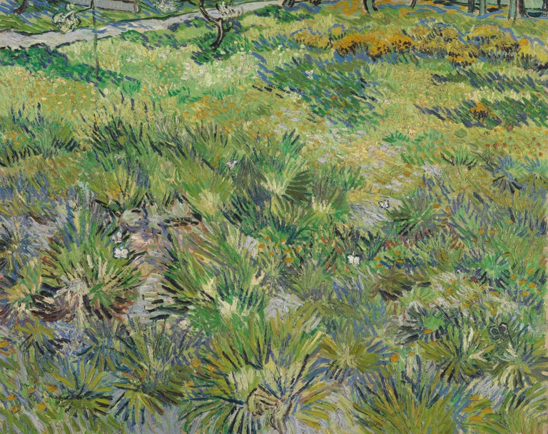 Wiese im Garten des Hospitals Saint-Paul von Vincent van Gogh