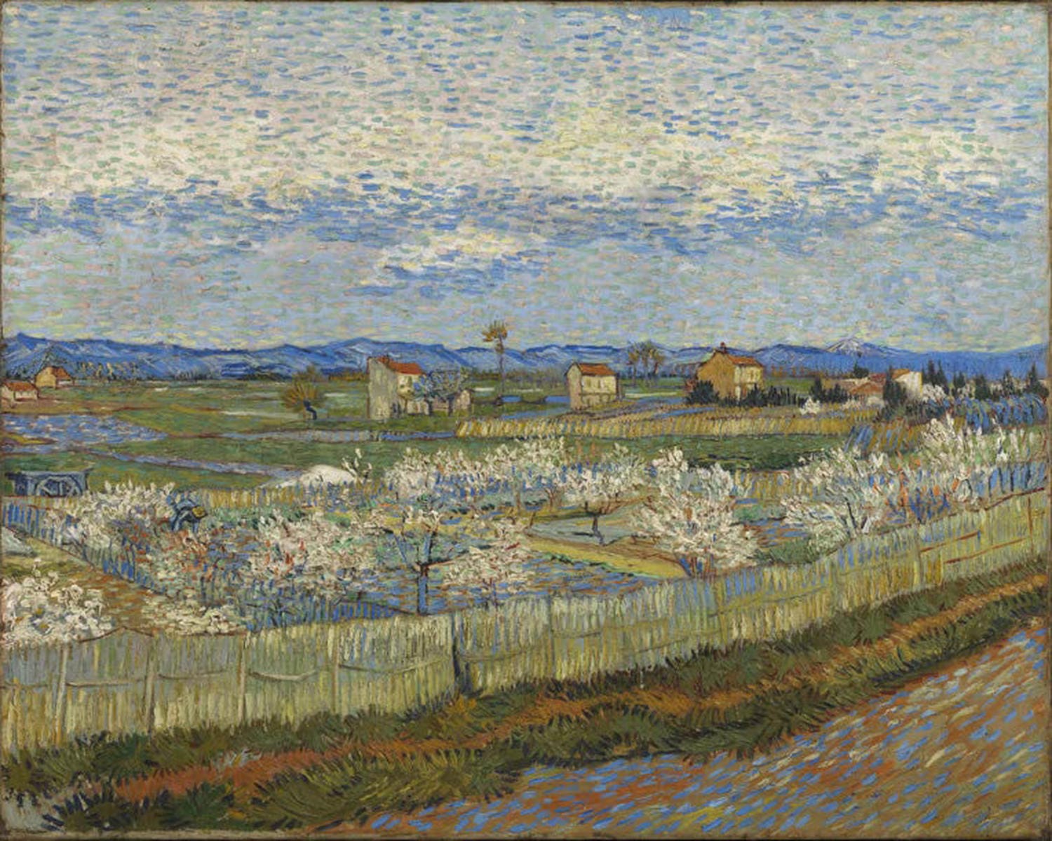 Blühende Pfirsichbäume | Vincent van Gogh