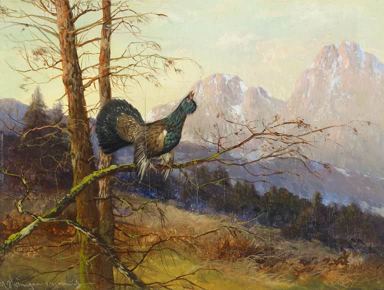 Kunstdruck Auerhahn von Max Hänger