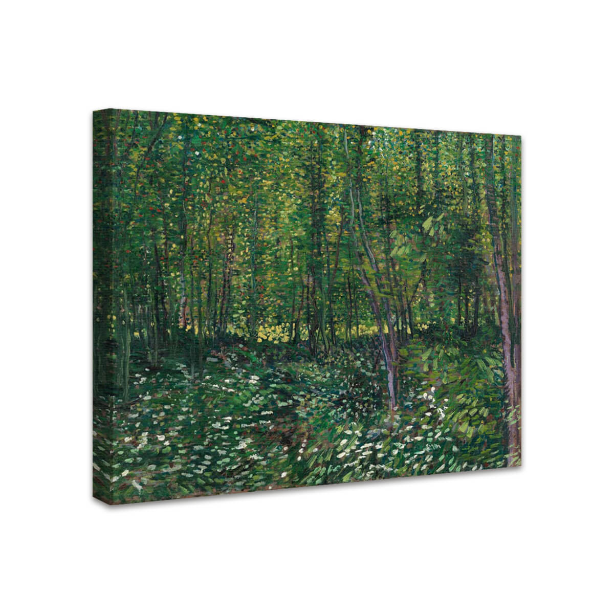 Bäume und Unterholz | Vincent van Gogh
