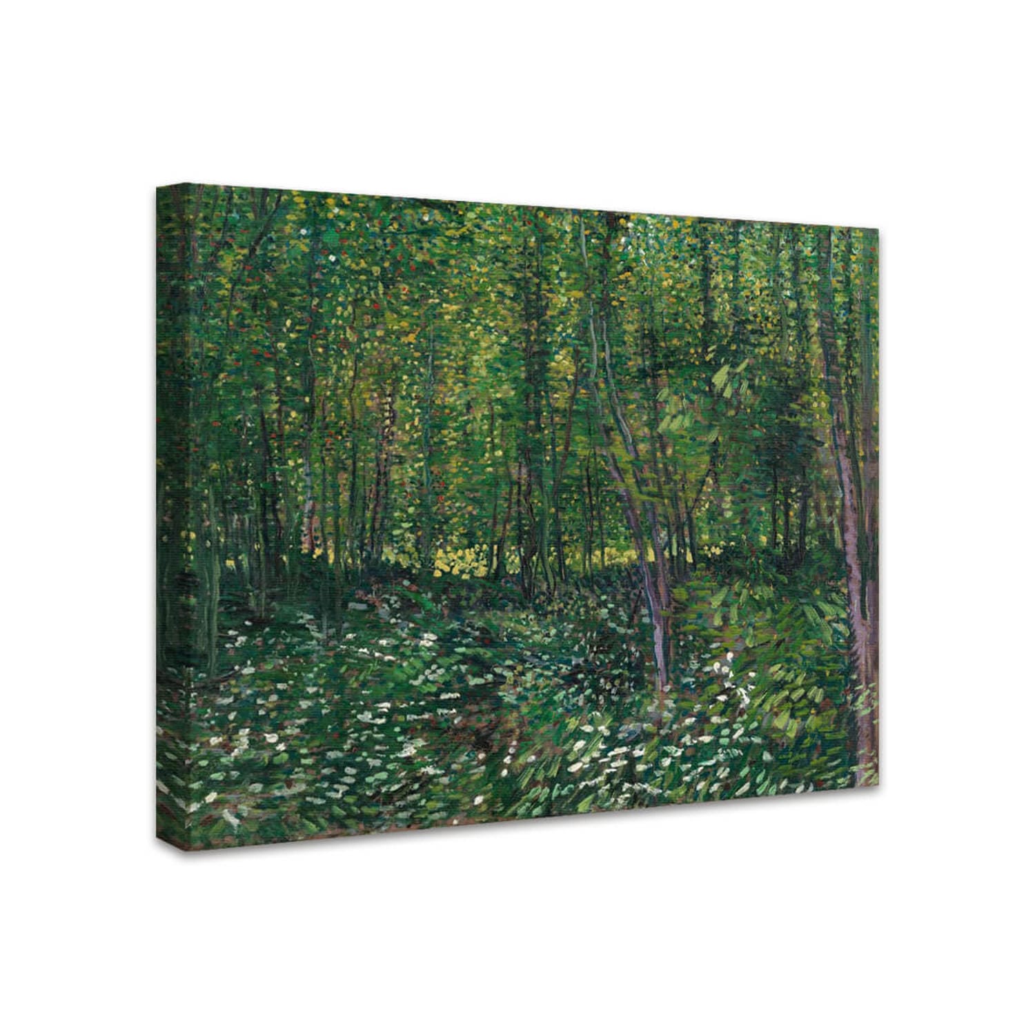 Bäume und Unterholz | Vincent van Gogh