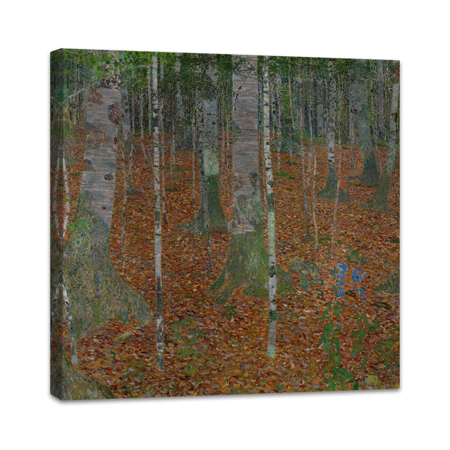 Birkenwald | Gustav Klimt