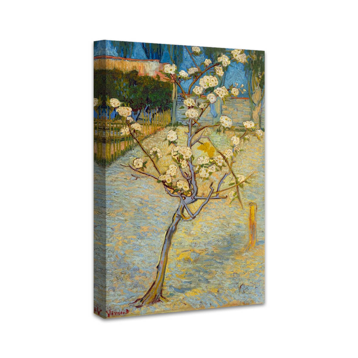 Birnenbaum in Blüte | Vincent van Gogh
