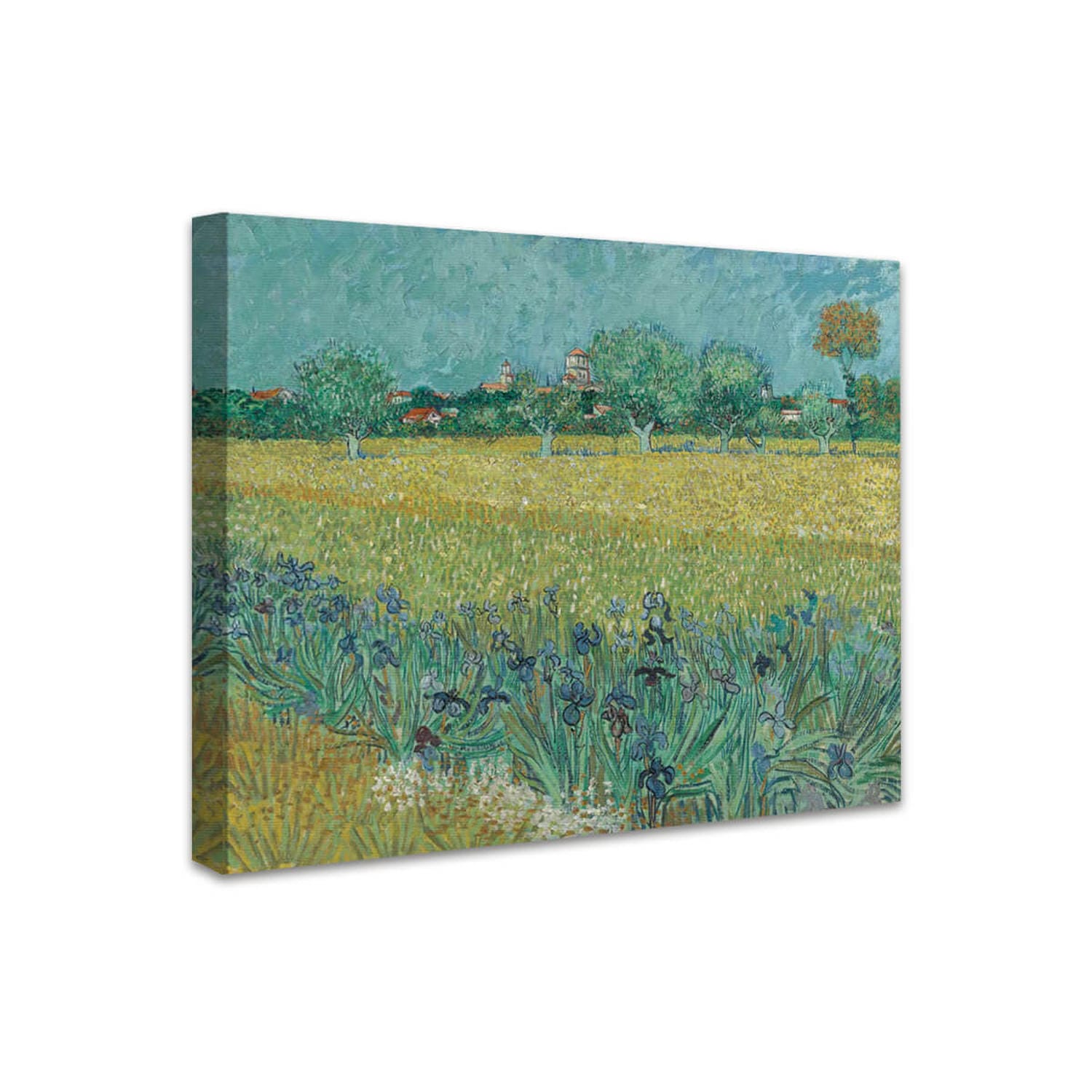 Blick auf Arles mit Irisblüten | Vincent van Gogh