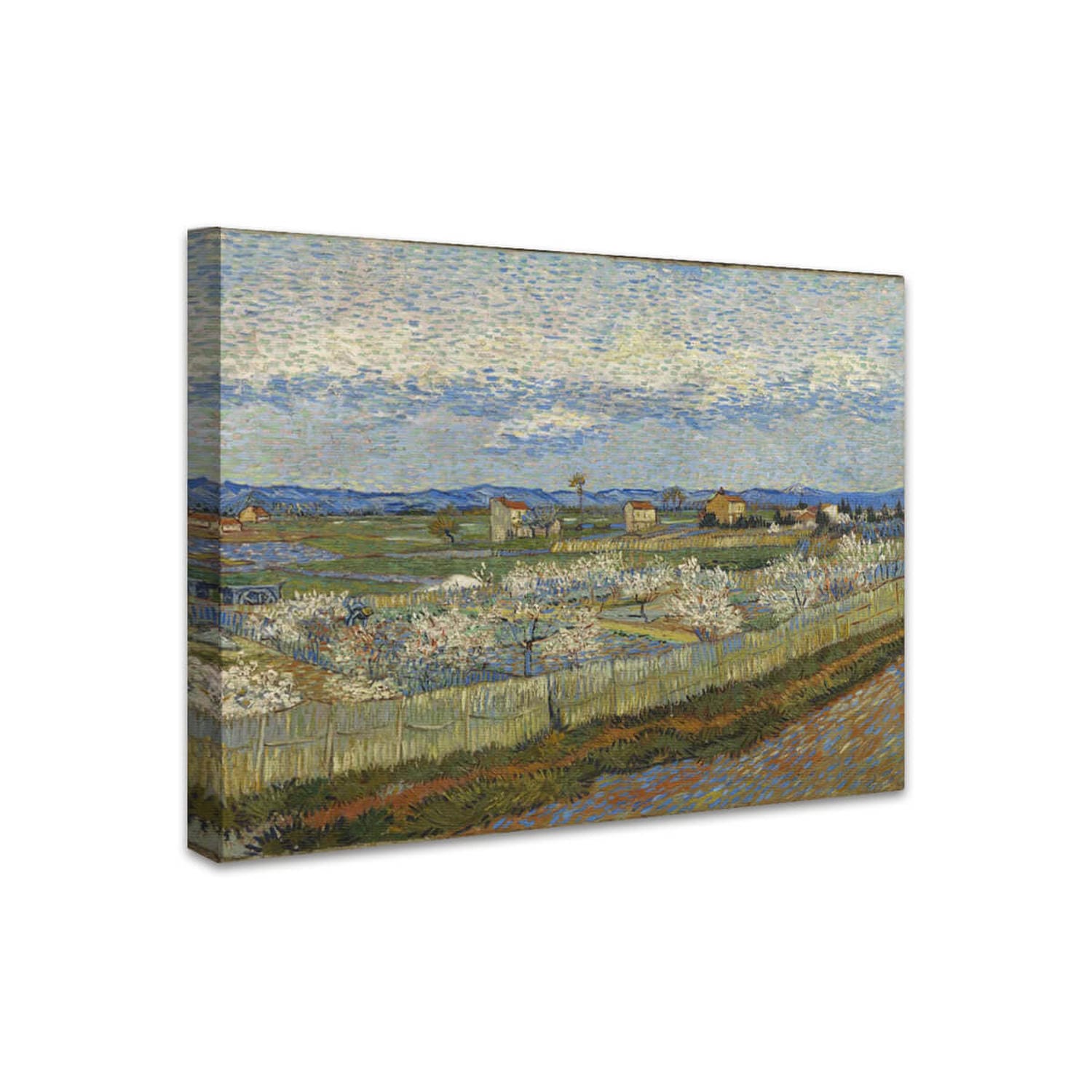 Blühende Pfirsichbäume | Vincent van Gogh