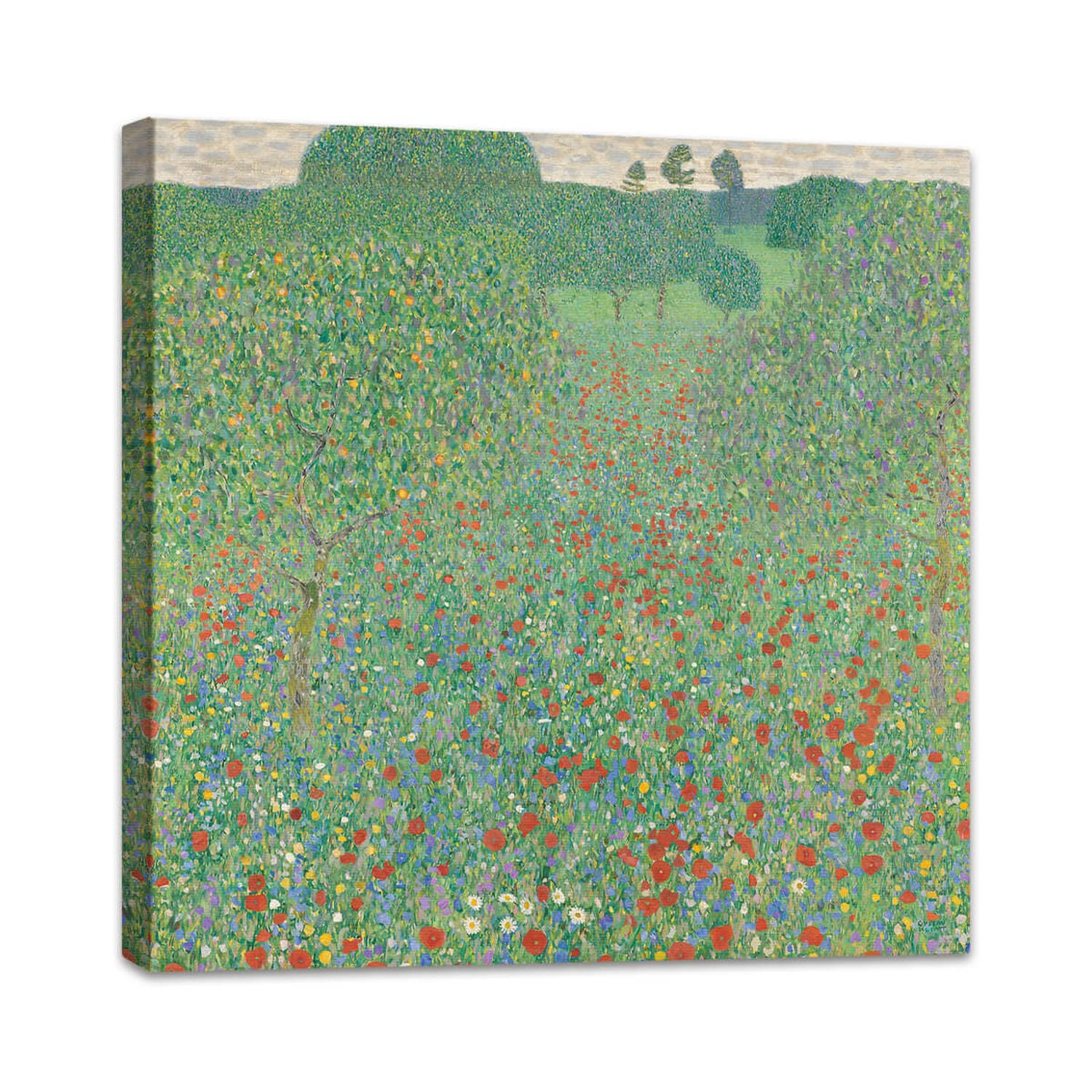 Blühender Mohn | Gustav Klimt