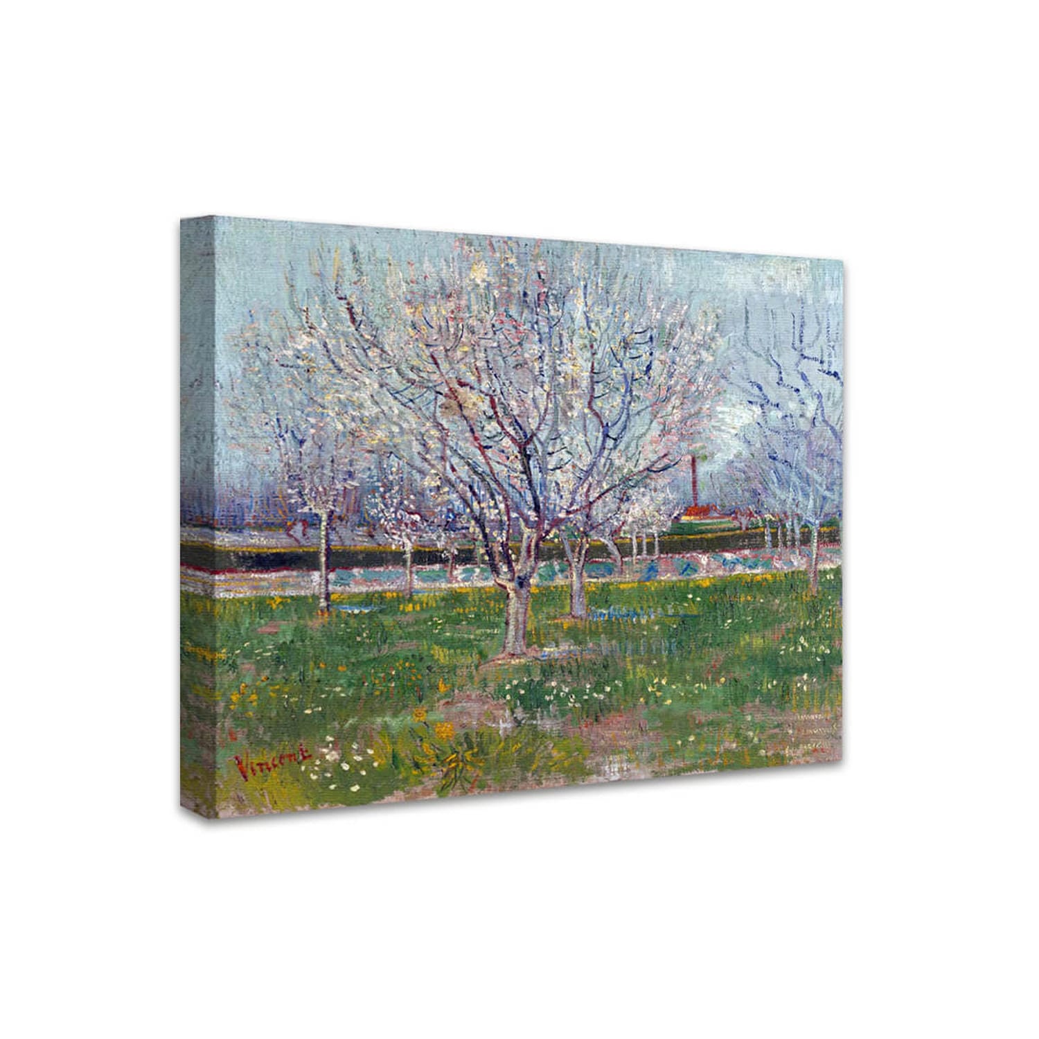 Blühender Obstgarten (Pflaumenbäume) | Vincent van Gogh